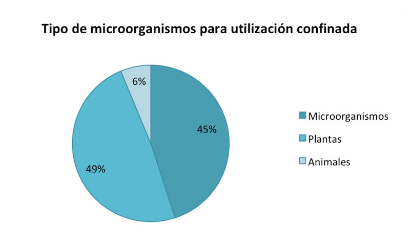 1-Gráfica-1-2718.jpg