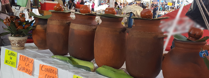 1-HEAD_pulque1518.jpg