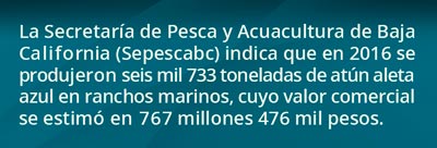 1-pescado0711.jpg