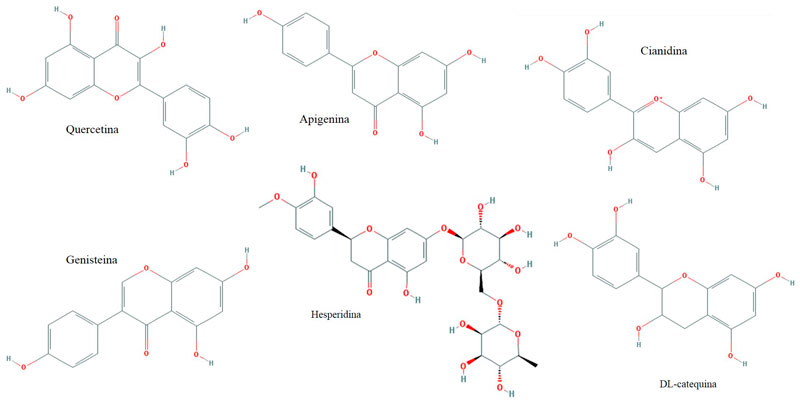 3.-Flavonoides.jpg