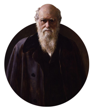 300charles-robert-darwin-62912_960_720.png