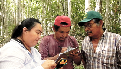 400Trabajo-de-manejo-y-conservación-de-la-selva-realizado-por-productores-de-X-Yatil,-municipio-de-Felipe-Carrillo-Puerto,-en-Quintana-Roo.png