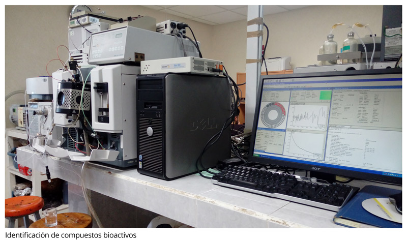 800-Identificación-de-compuestos-bioactivos-(9).jpg