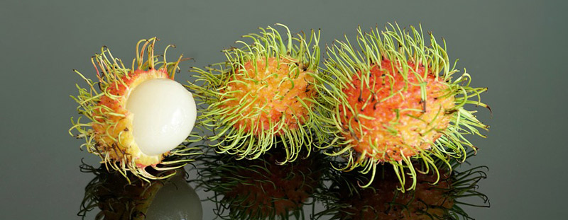 800x300-Rambutan-1812.jpg