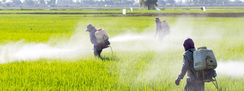 800x300-contaminantes-agua-microo.jpg