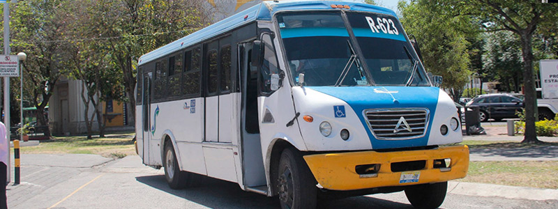 800x300_APV_Autobus.jpg