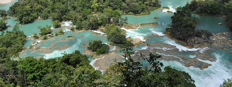 800x300_Ar-Cascadas-Las-Nubes,-en-la-Reserva-de-la-Biósfera-Montes-Azules,-en-Chiapas--Foto-proporcionada-por-la-Dra.-Cecilia-Elizondo.jpg