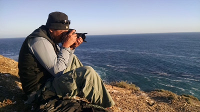 Dr. Yuri Albores documentando la poblacion de pardela mexicana