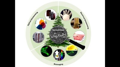 TOCNanocellulose in biosensing