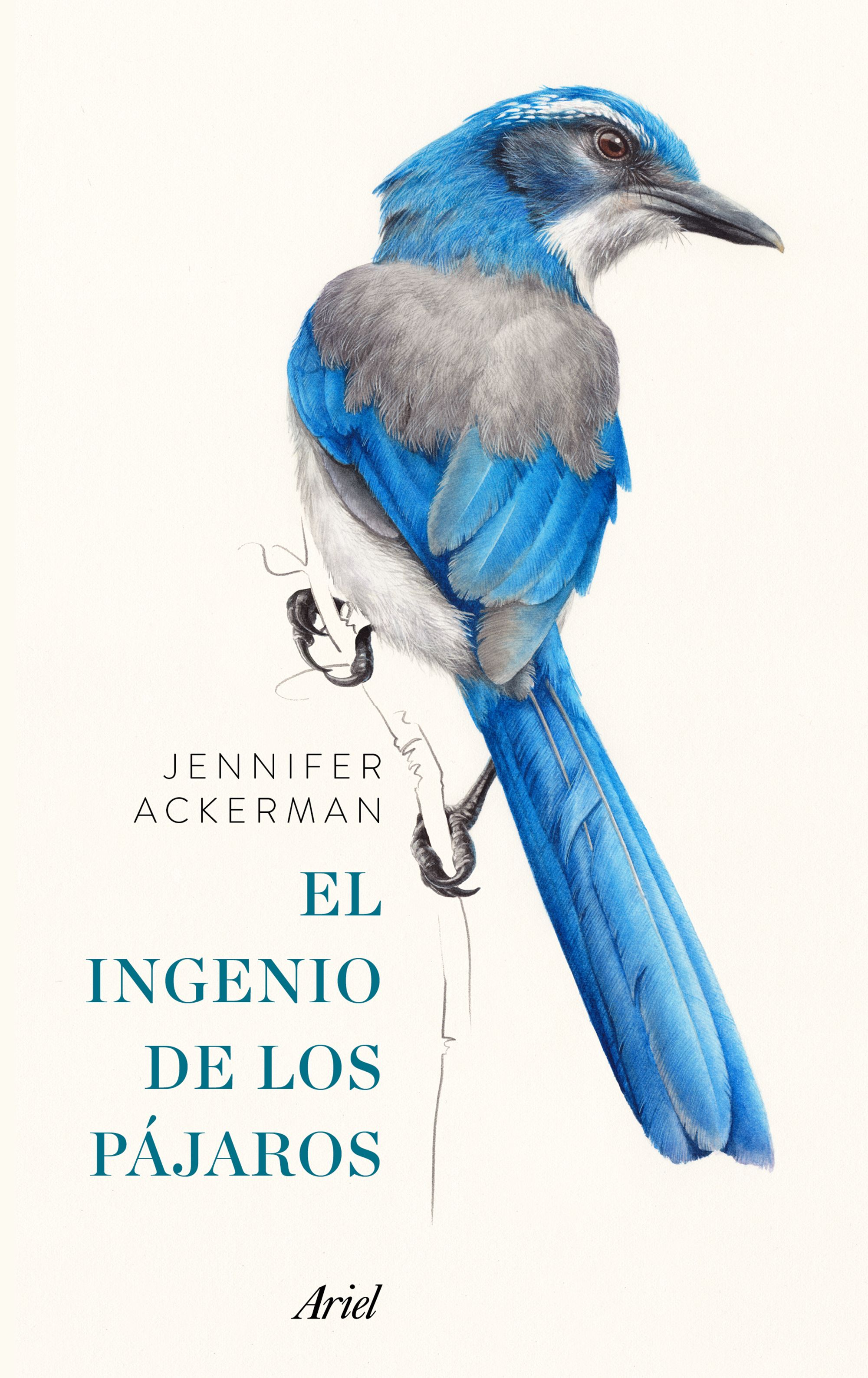 portada el ingenio de los pajaros jennifer ackerman 201612180011