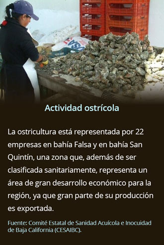 Actividad_Ostricola_1710.jpg