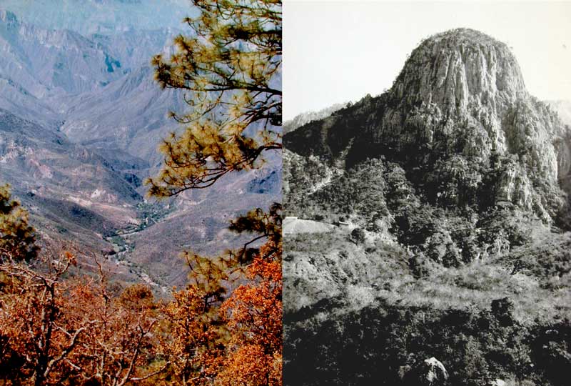 Barranca Metates