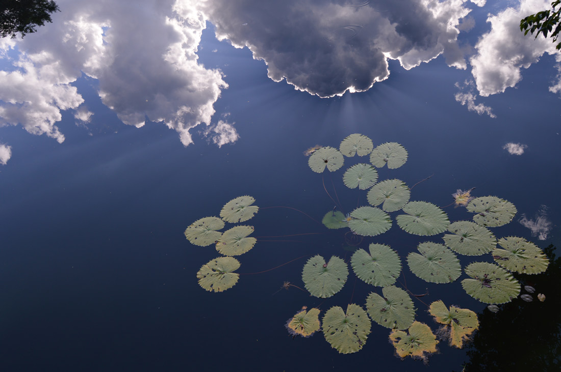 Cenote-y-cielo1100.jpg