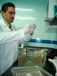 Dr Alfonso Atitlan Gil 2