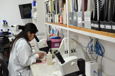 Laboratorio-de-Bentos-del-Centro-de-Investigación-y-de-Estudios-Avanzados-del-Instituto-Politécnico-Nacional-(CINVESTAV-IPN)-Unidad-Mérida-22.jpg