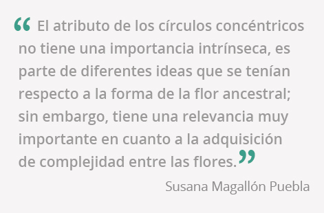 SusanaMagallon-Frase.jpg