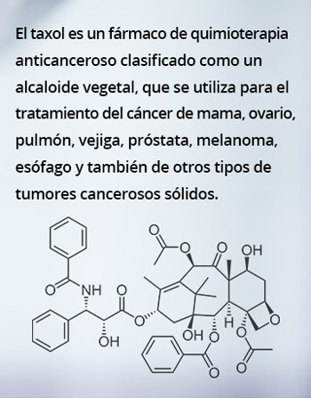 Taxol-Formi_1811.jpg