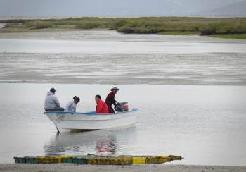 pescadores cibnor