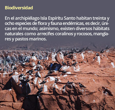 1 biodiversidad0205