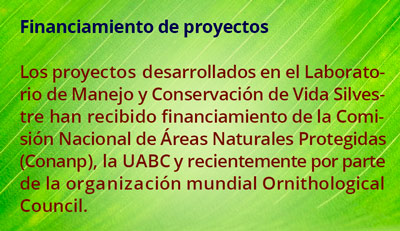 1 financiamiento2006