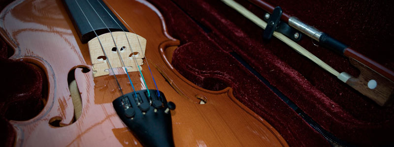 banner fisica violin