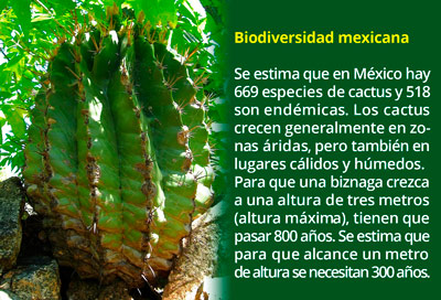 1 biodiversidad1502