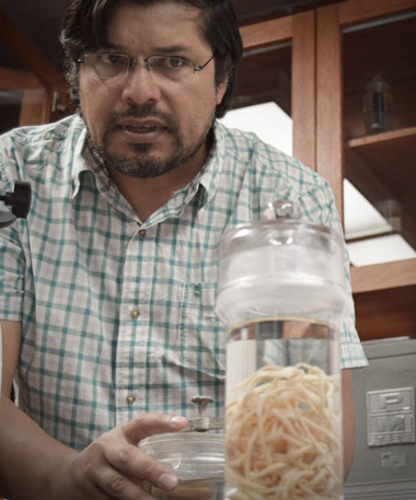 Alejandro Oceguera Figueroa Instituto Biologia UNAM01