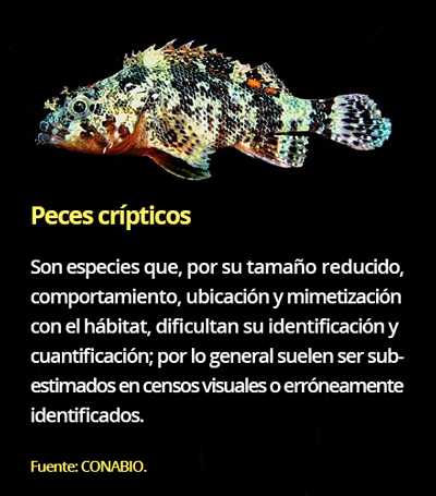 PECES2116