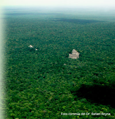 recuadro calakmul02c