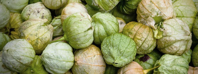 banner tomatillo pectinas