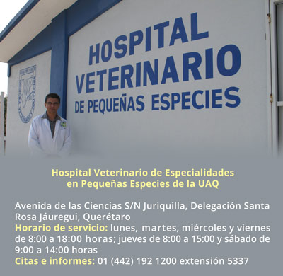 1 hospital2402