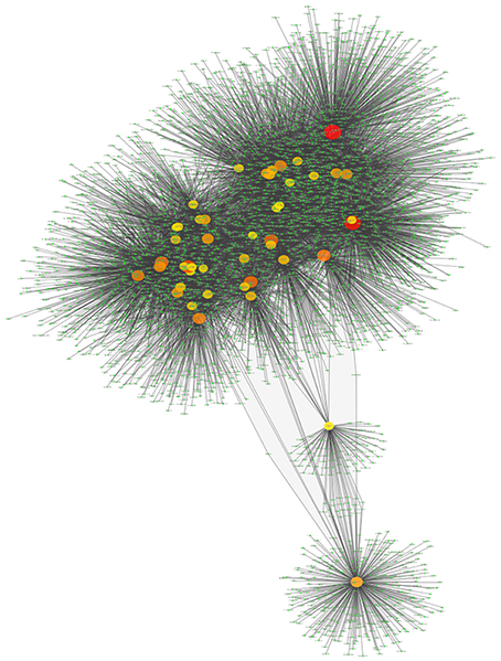 Red de transcripcion de MEF2C a tres niveles