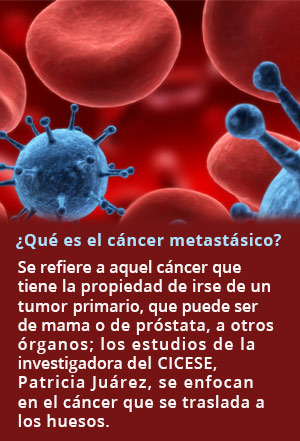 cancer recuadro1nuevonv 617