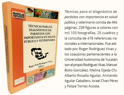 libro0916 1