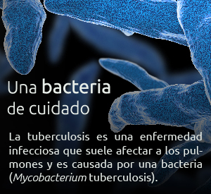 tuberculosis2503 recuadros 02