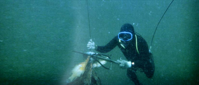 manual-de-riesgos-de-buceo-hooka.jpg