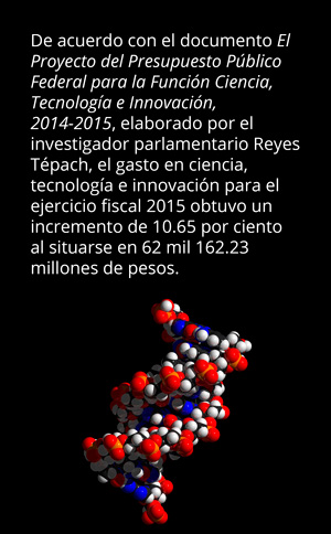 proyecto del presupuesto publico federal