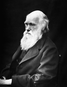 charles darwin museo historia natural01