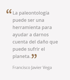 frase francisco javier vega