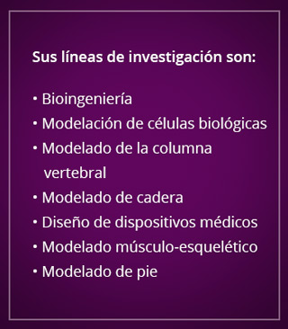 recuadro lineas investigacion teresa rasgado