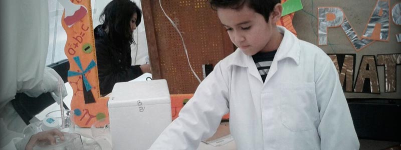 banner pandillas cientificas