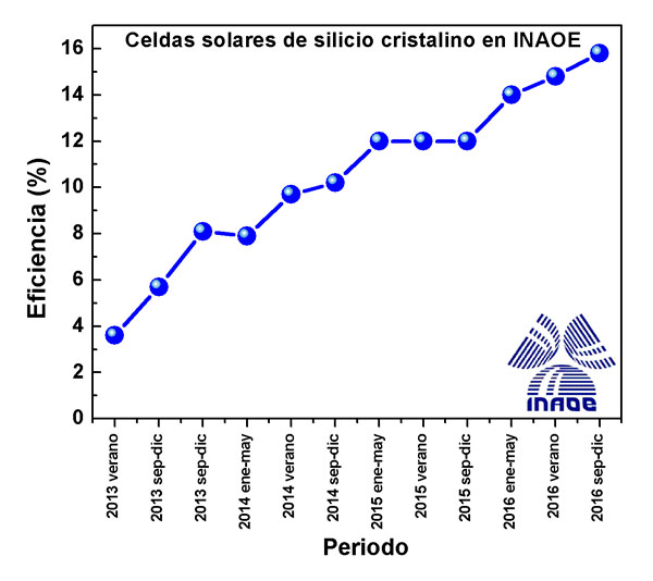 1 celda2407