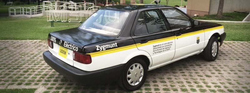 banner zygmunt