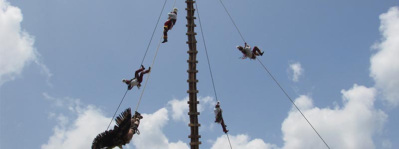 voladores-head-5317.jpg