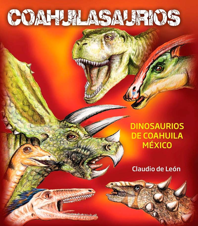 coahuilasuari1