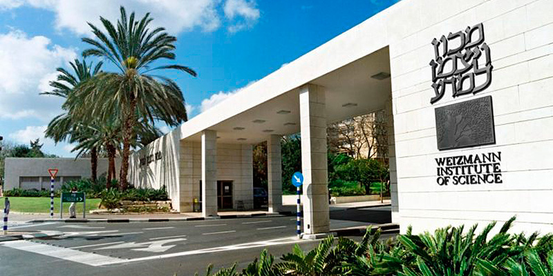 weizmann entrada